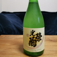 
            光栄菊_
            わらすぼさん
