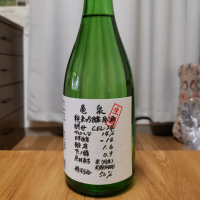 
            亀泉_
            わらすぼさん