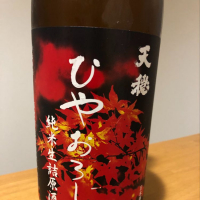 天穏のレビュー by_クワトロ