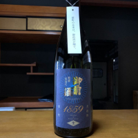 
            御前酒_
            モフモフパパさん