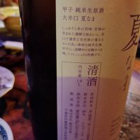 甲子のレビュー by_じいけ