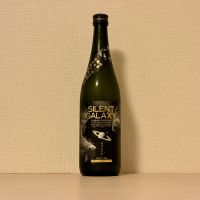 SILENT GALAXY