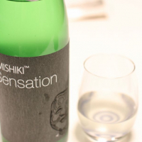 
            SENSATION_
            yasumotorさん