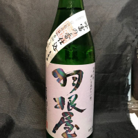 
            羽根屋_
            青島 明生さん
