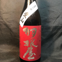
            羽根屋_
            青島 明生さん