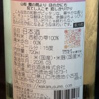 和可娘のレビュー by_青島 明生