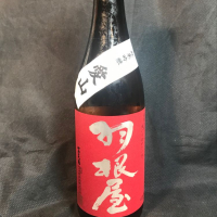 
            羽根屋_
            青島 明生さん
