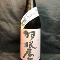 
            羽根屋_
            青島 明生さん