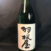 
            羽根屋_
            青島 明生さん