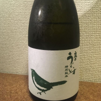 
            庭のうぐいす_
            kemmyさん