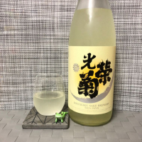 
            光栄菊_
            スズ生酛さん