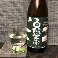
            白隠正宗_
            スズ生酛さん