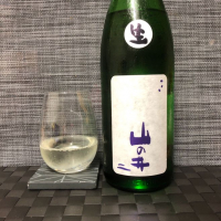 
            山の井_
            スズ生酛さん