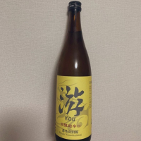 游 YOU