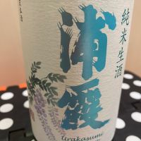 浦霞