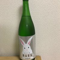 
            寒紅梅_
            こてあんさん