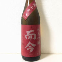 
            而今_
            Anekopikaさん