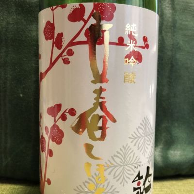 人気一 にんきいち 日本酒 評価 通販 Saketime