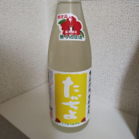 新潟県の酒