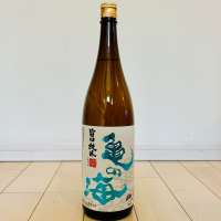 亀の海のレビュー by_バスキチ