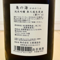 亀の海のレビュー by_バスキチ