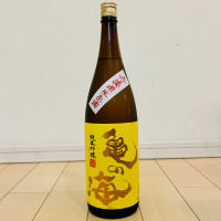 亀の海のレビュー by_バスキチ