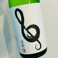 双奏