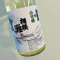 相模灘