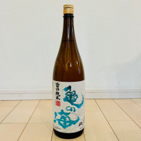 亀の海のレビュー by_バスキチ
