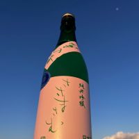 笹正宗