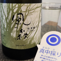 風の森