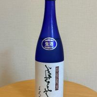 菊美人