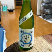 
            越後高柳_
            スタープラチナさん