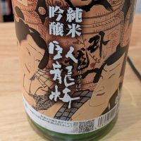 臥龍梅