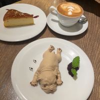 十四代のレビュー by_わふ