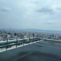 十四代のレビュー by_わふ