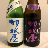 富山県の酒