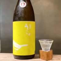 庭のうぐいす