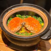 電照菊のレビュー by_ribbon914