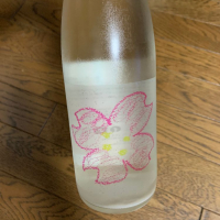 
            仙禽_
            スティーブ晋作さん