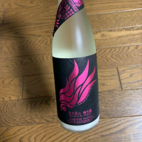 
            栄光冨士_
            スティーブ晋作さん