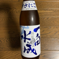 
            一白水成_
            スティーブ晋作さん