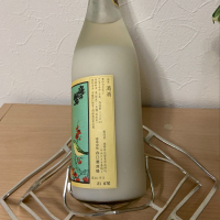庭のうぐいすのレビュー by_スティーブ晋作