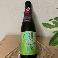 
            風の森_
            スティーブ晋作さん