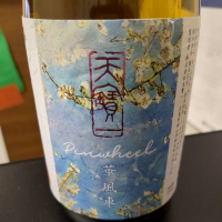 天寶一