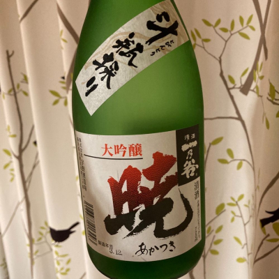 福井県の酒