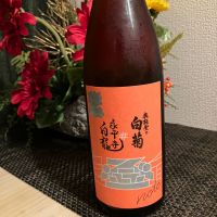 永平寺白龍