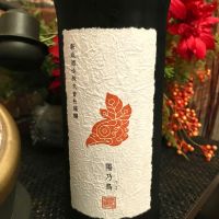 陽乃鳥