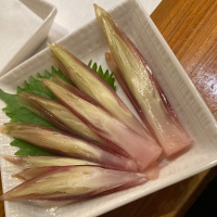 かっぱのレビュー by_よっし
