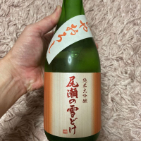 尾瀬の雪どけ